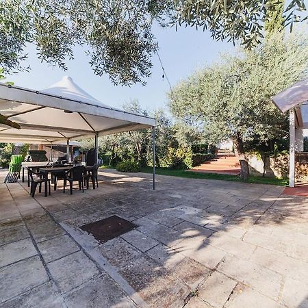Countryhouse Gli Ulivi 모두가노 외부 사진