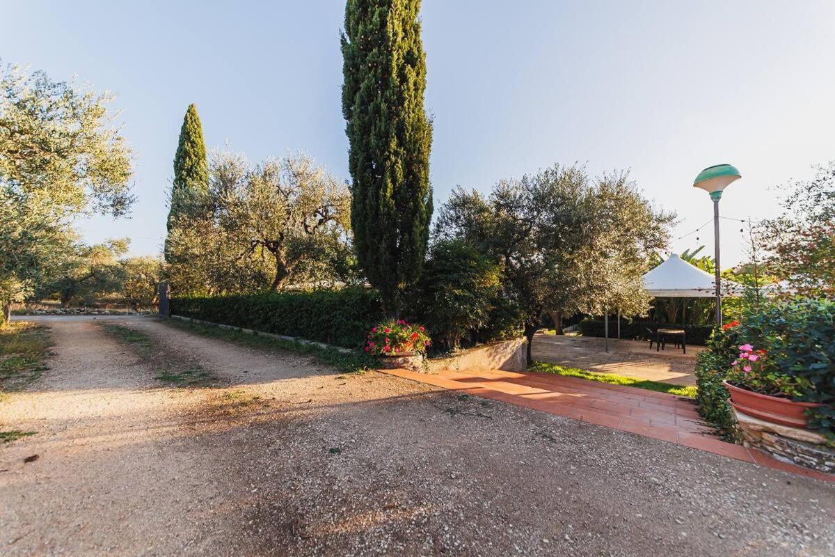 Countryhouse Gli Ulivi 모두가노 외부 사진